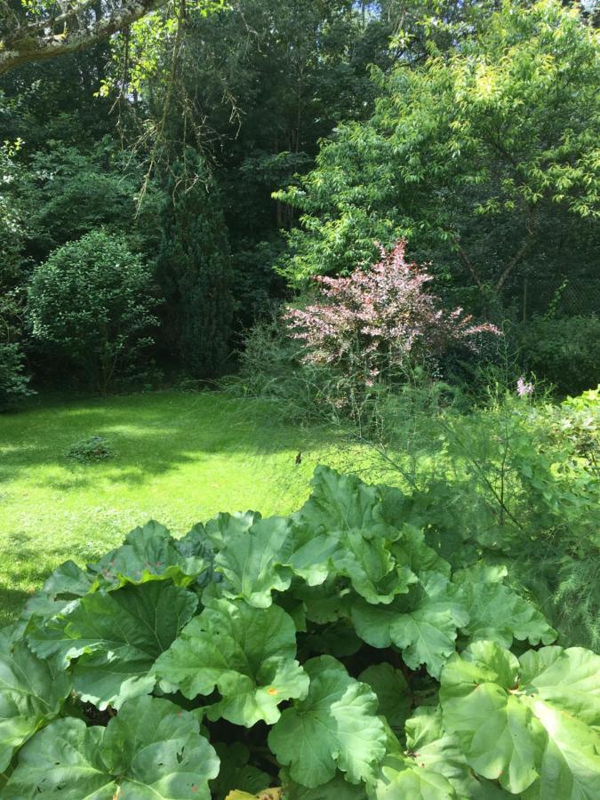 Un coin de forêt Courmas Extérieur photo